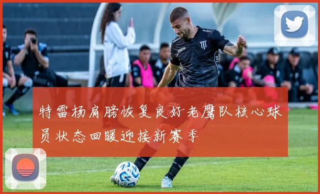 特雷杨肩膀恢复良好老鹰队核心球员状态回暖迎接新赛季